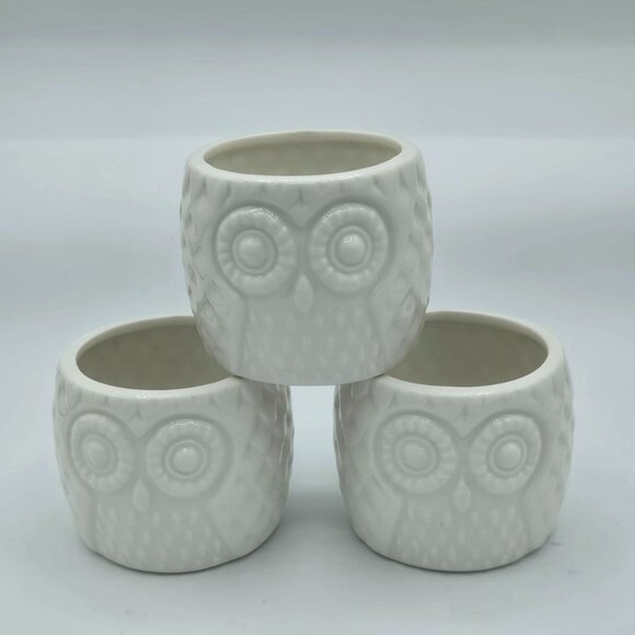 Set of 3 small adorable white ceramic owl planter Succulent Pots WHIMSICAL! - Picture 1 of 6